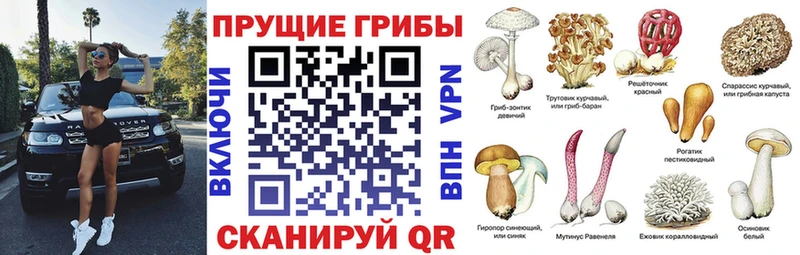 Псилоцибиновые грибы GOLDEN TEACHER  shop какой сайт  Сельцо 